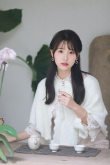 孤胆义侠